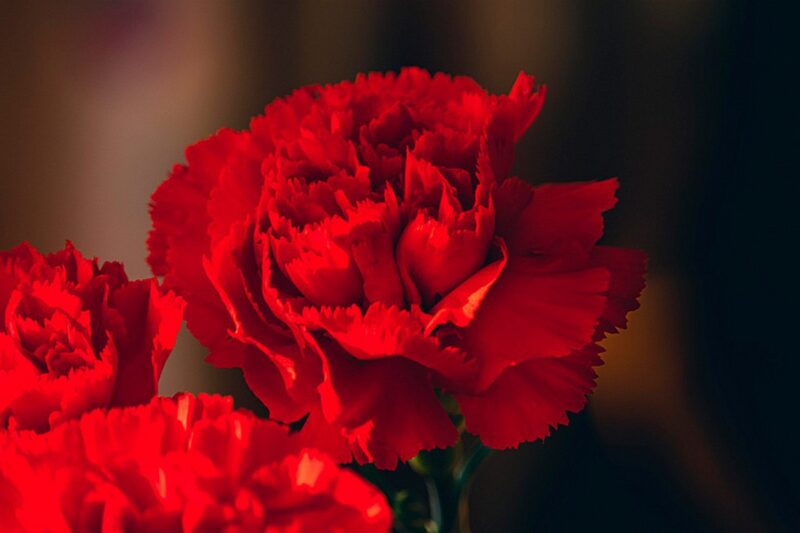 Кого не стало в 2025