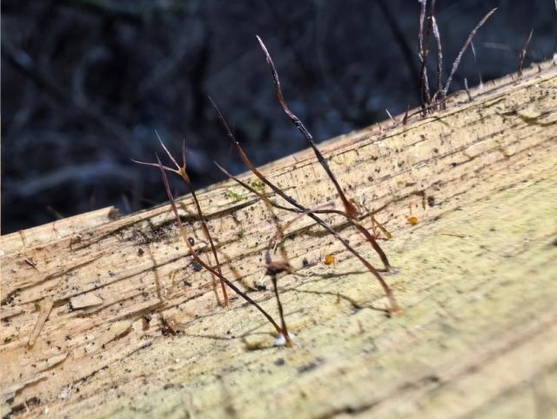 Учёные нашли