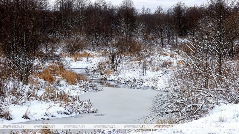 Правительство Беларуси