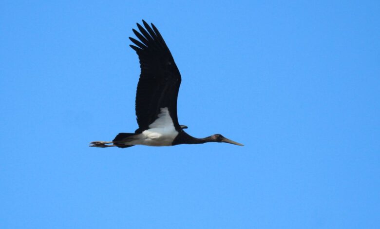 10 удивительных фактов