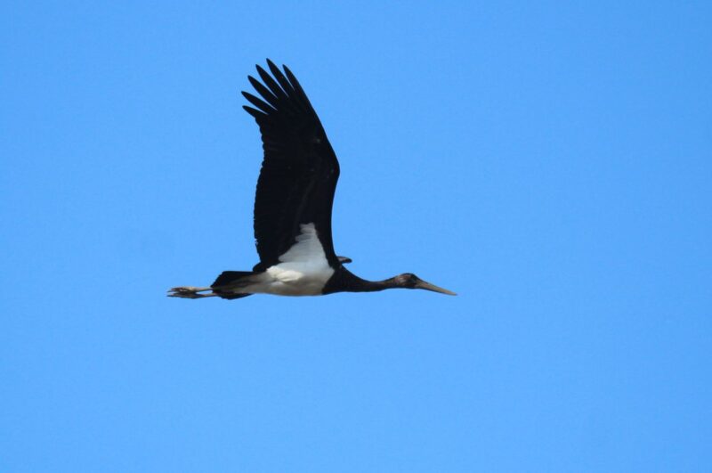 10 удивительных фактов