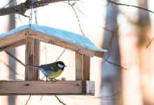 Белорусам грозят штрафы