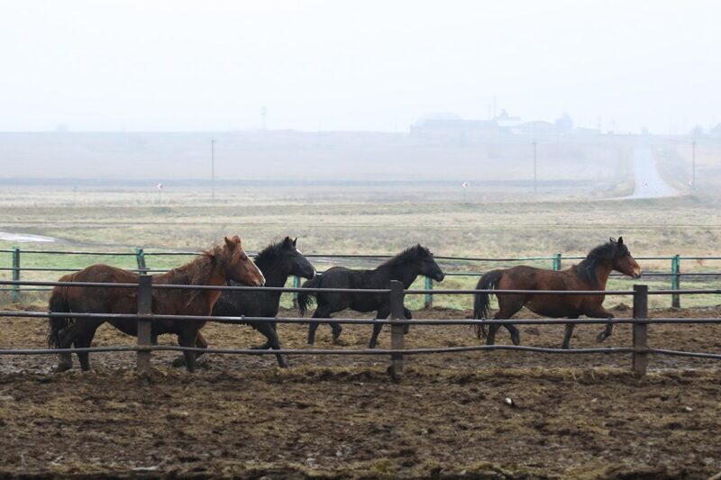 Отражение символа