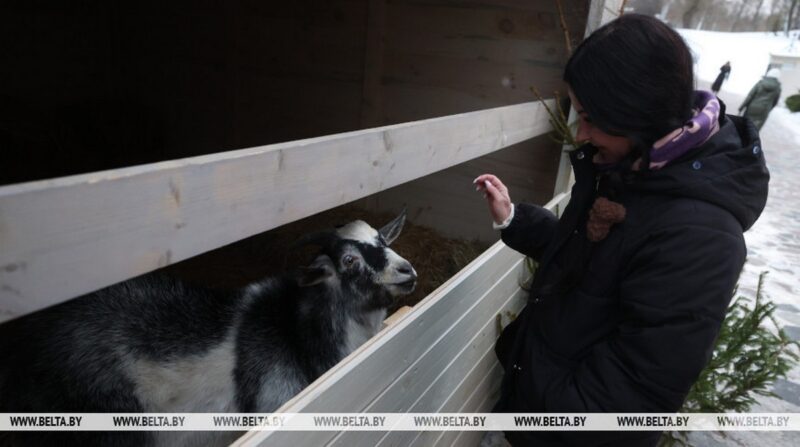 У Коложской церкви