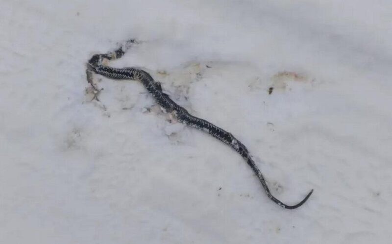 жители Гродненской области