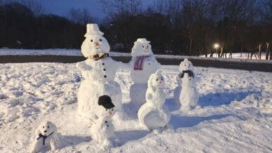 Cвежая порция креативных снеговиков из Гродно