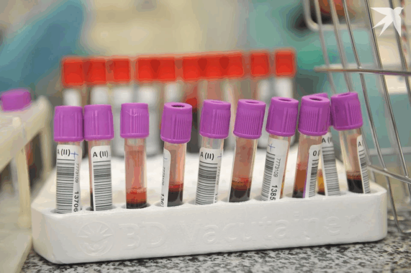 Белорусский врач рассказала