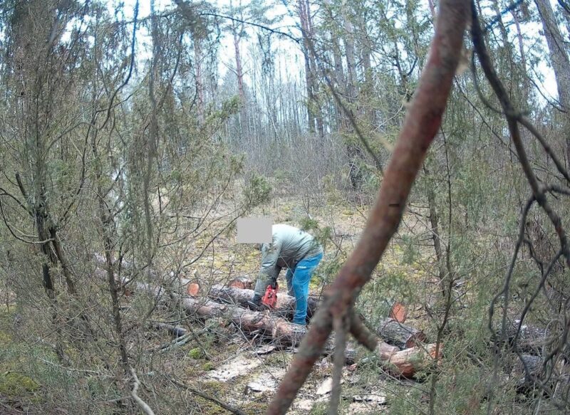 жителю Гродненской области вынесли