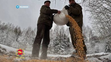 Как в Гродненской области помогают