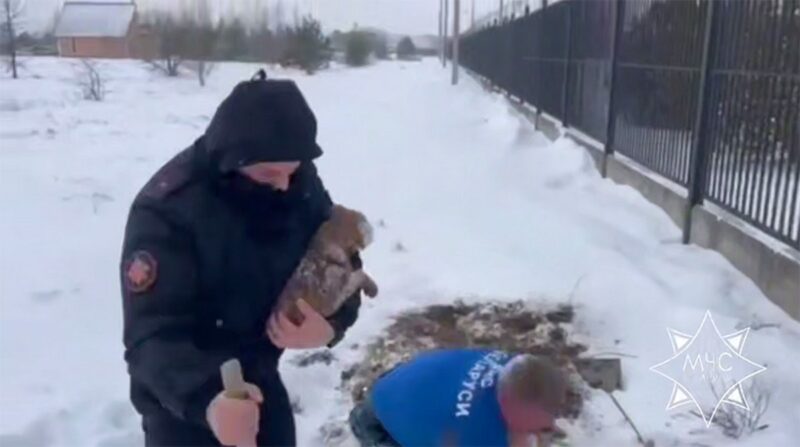 Спасатели МЧС вызволили щенка