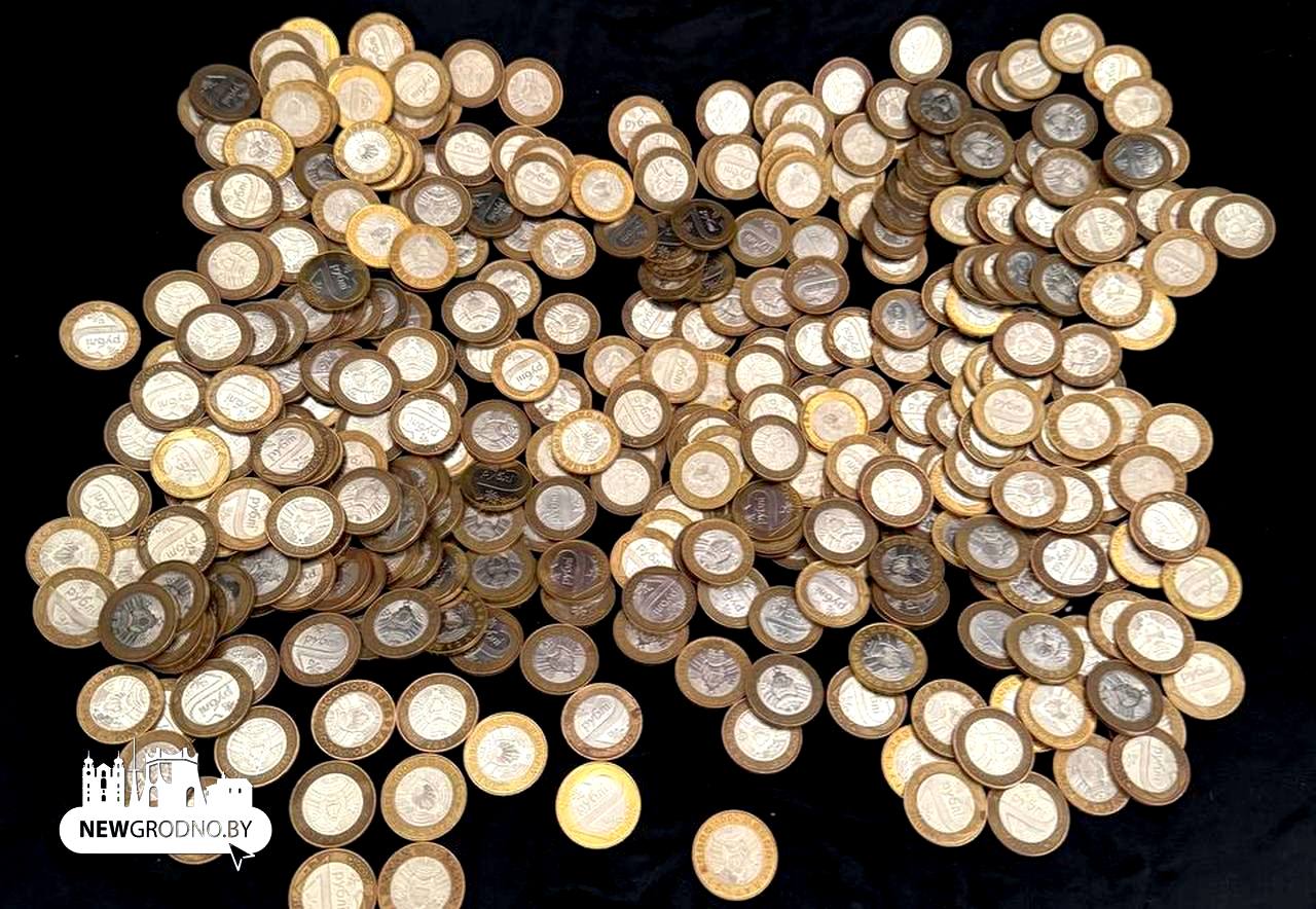 Гродненец год собирал монеты