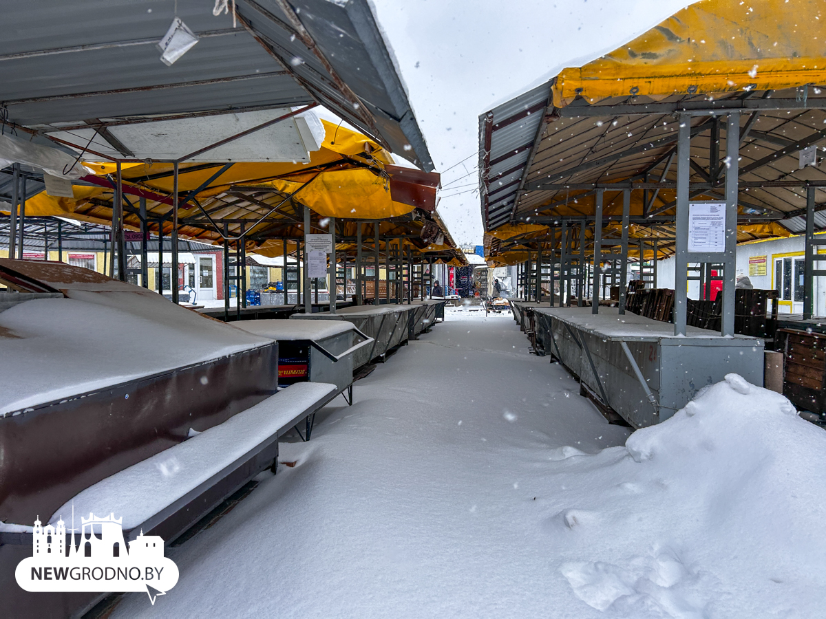 Что из фруктов продают на рынке в разгар