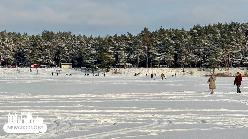 ОСВОД предупреждает