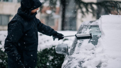 Как пережить снегопад