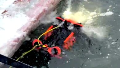 В Гродно на службу ОСВОД поступил