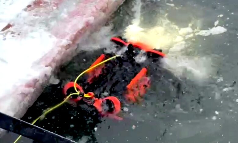 В Гродно на службу ОСВОД поступил