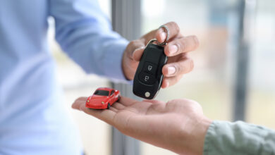 Интересные новинки 2025