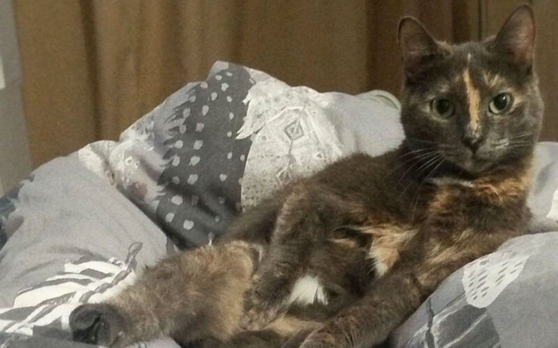 белоруска рассказала