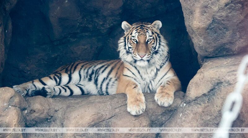 Как спасают от холода