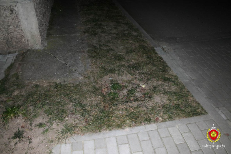 Кражу в Мостах