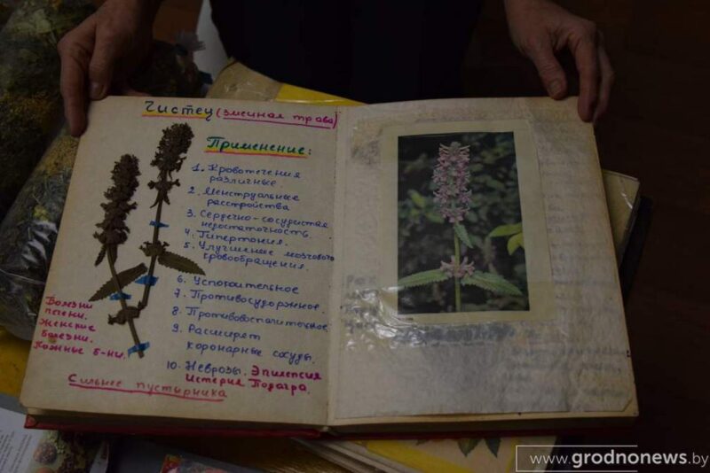 Супруги-травники из Желудока