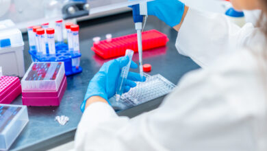 В Беларуси впервые займутся клонированием