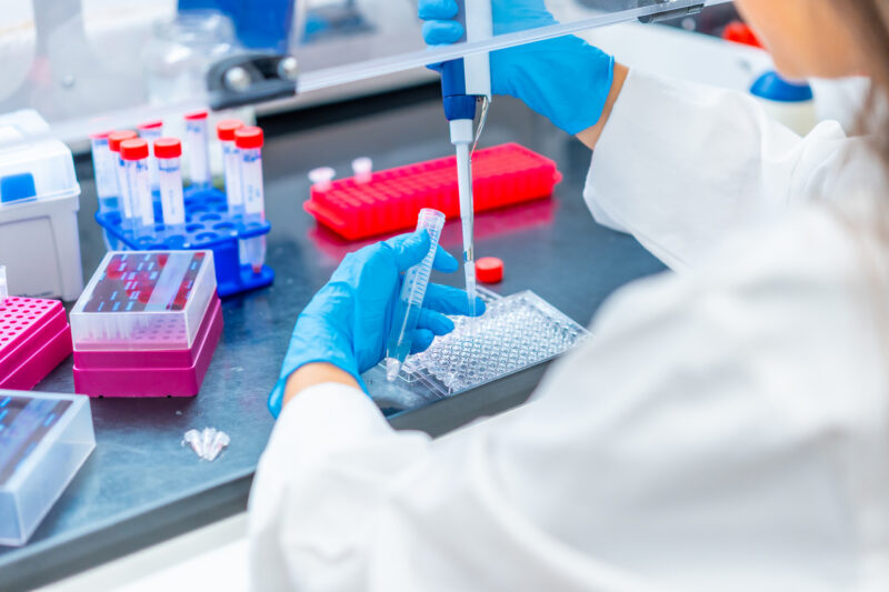 В Беларуси впервые займутся клонированием