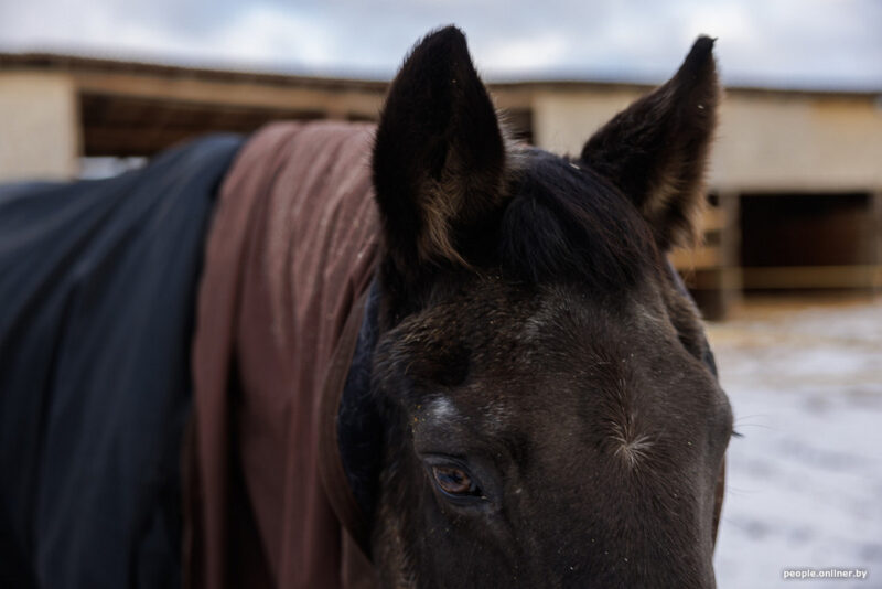 «Как им жить дальше?»