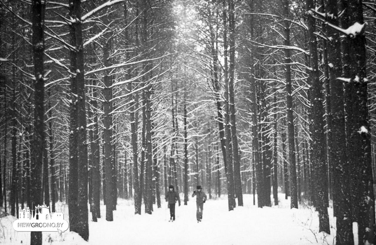 Как выглядела зима в Гродно