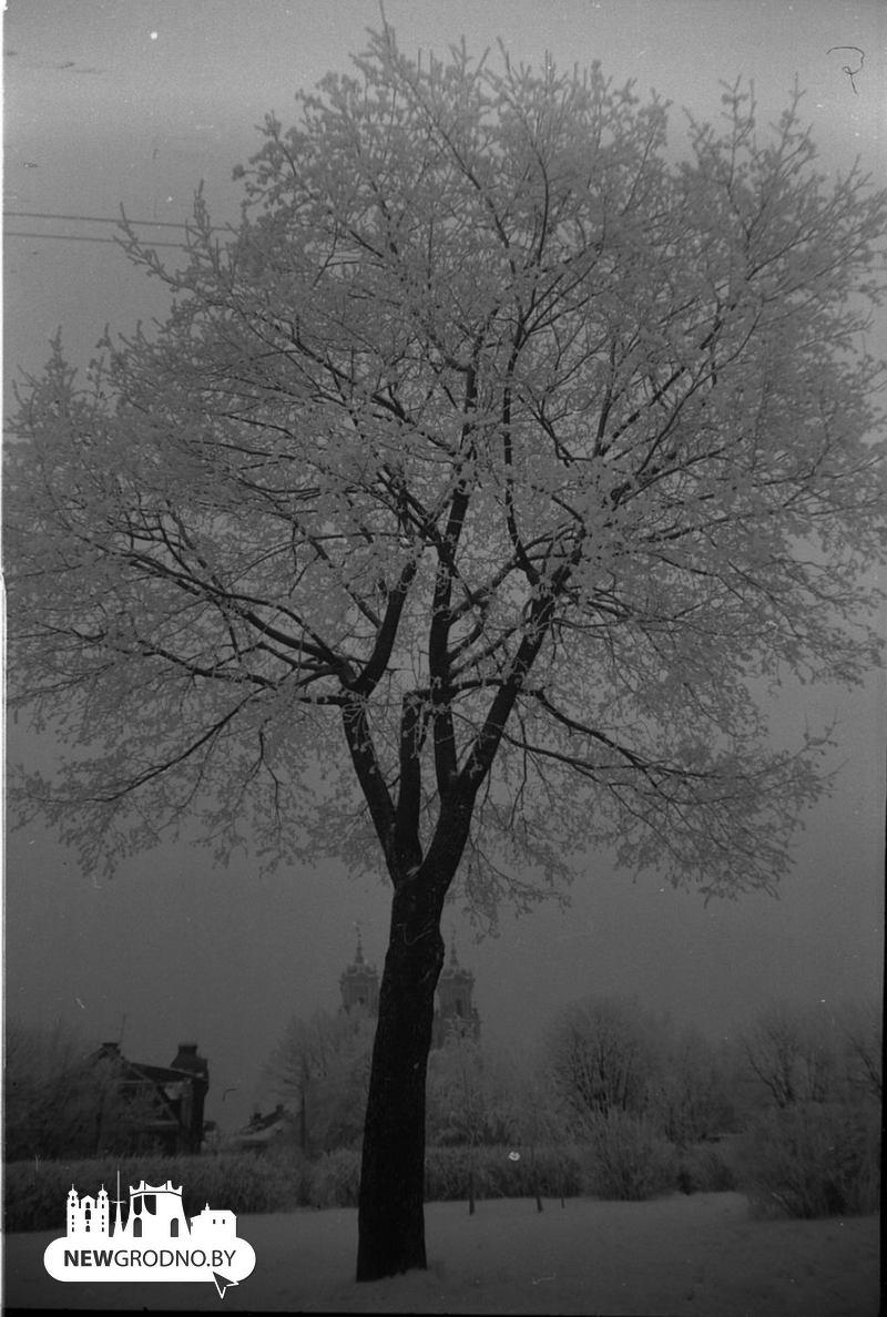 Как выглядела зима в Гродно