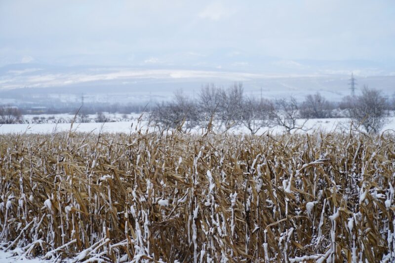 Необычный эксперимент под Брестом