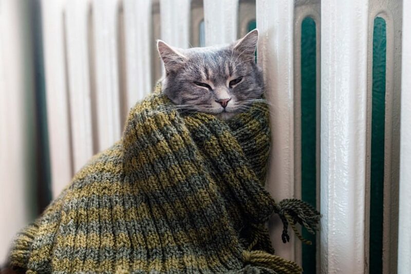 Лукашенко просит не "перебарщивать" 