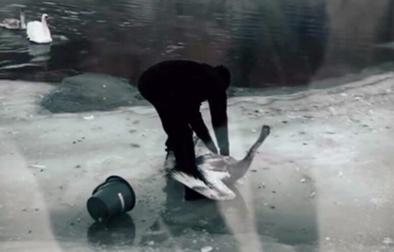 В Гродно спасатели ОСВОДа 