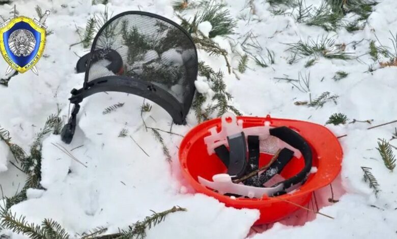 При валке леса в Костюковичском