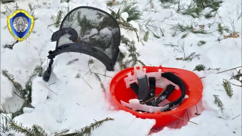 При валке леса в Костюковичском