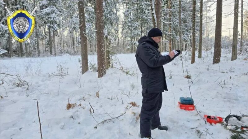 При валке леса в Костюковичском