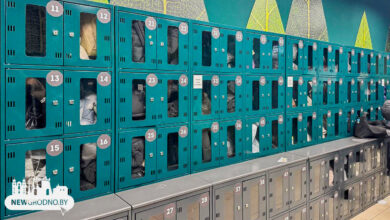 Читатели жалуются на ситуацию с ячейками