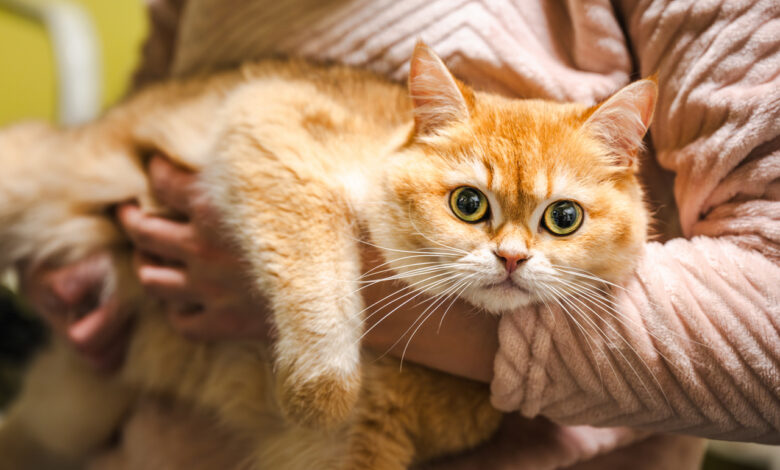 Парень из Гомеля «покормил»