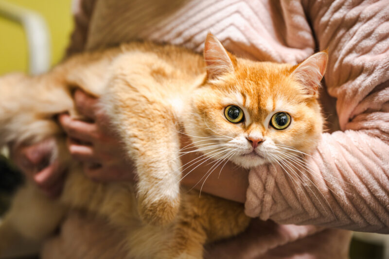 Парень из Гомеля «покормил»