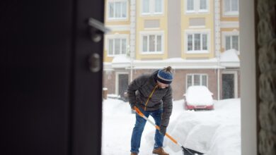 Заработайте зимой как самозанятый