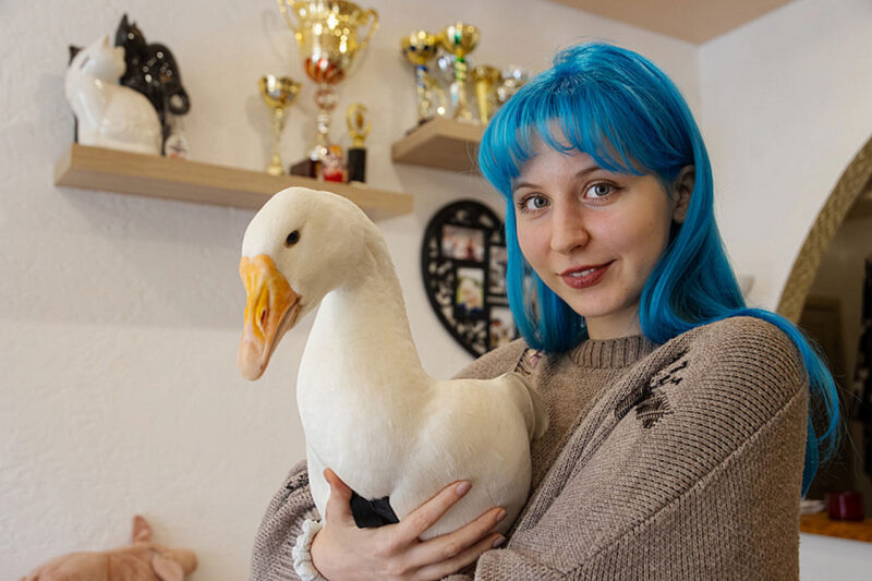 Звезда TikTok из Беларуси