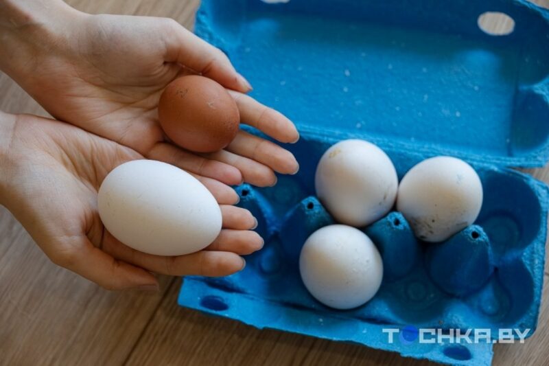 Звезда TikTok из Беларуси