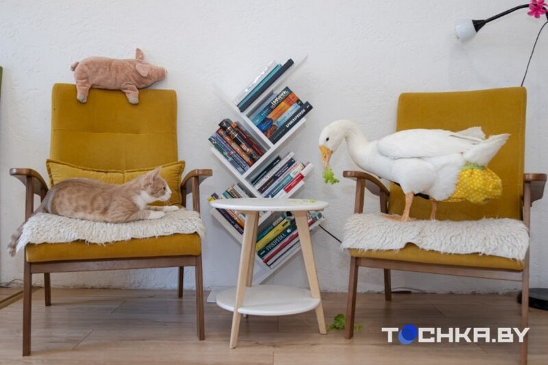 Звезда TikTok из Беларуси