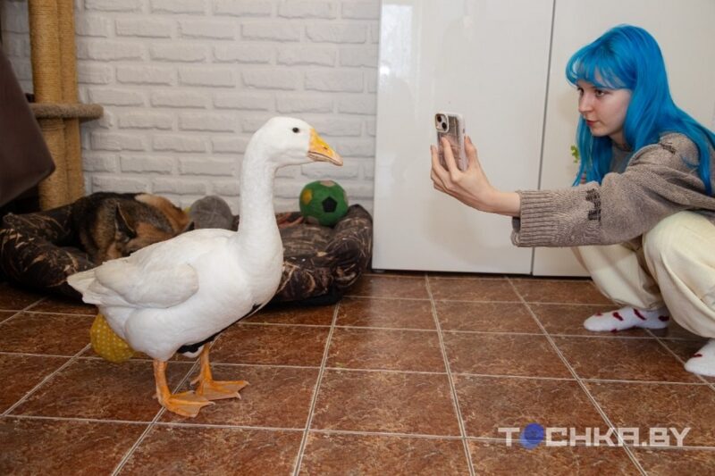 Звезда TikTok из Беларуси