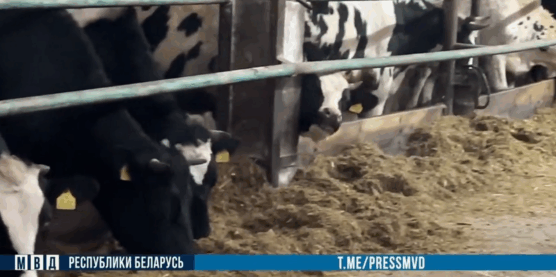 На Щучинщине из-за халатности