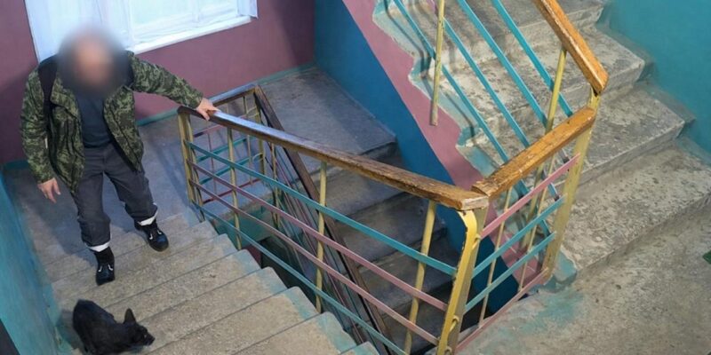 в Полоцком районе