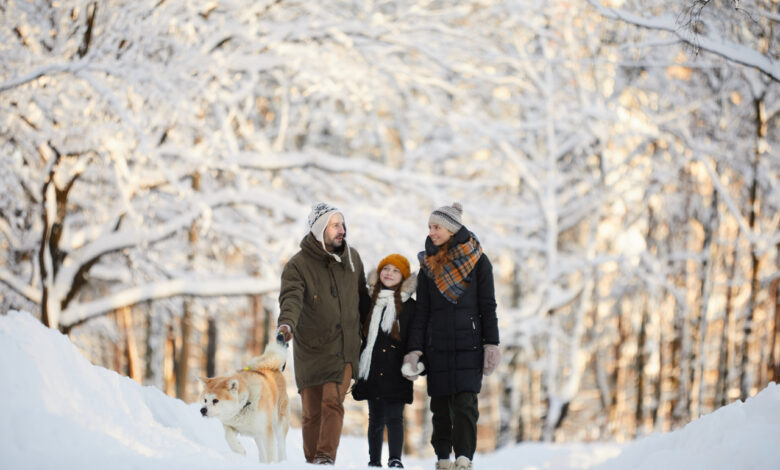 Как справиться с зимней