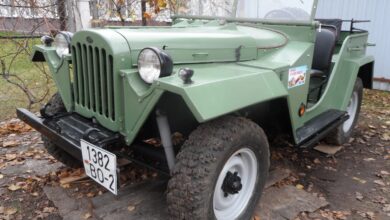 В Беларуси продают редкий