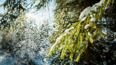 Оттепель с подвохом