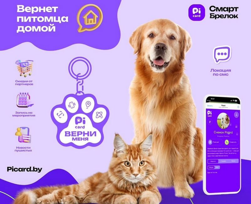 В Беларуси запустили сервис